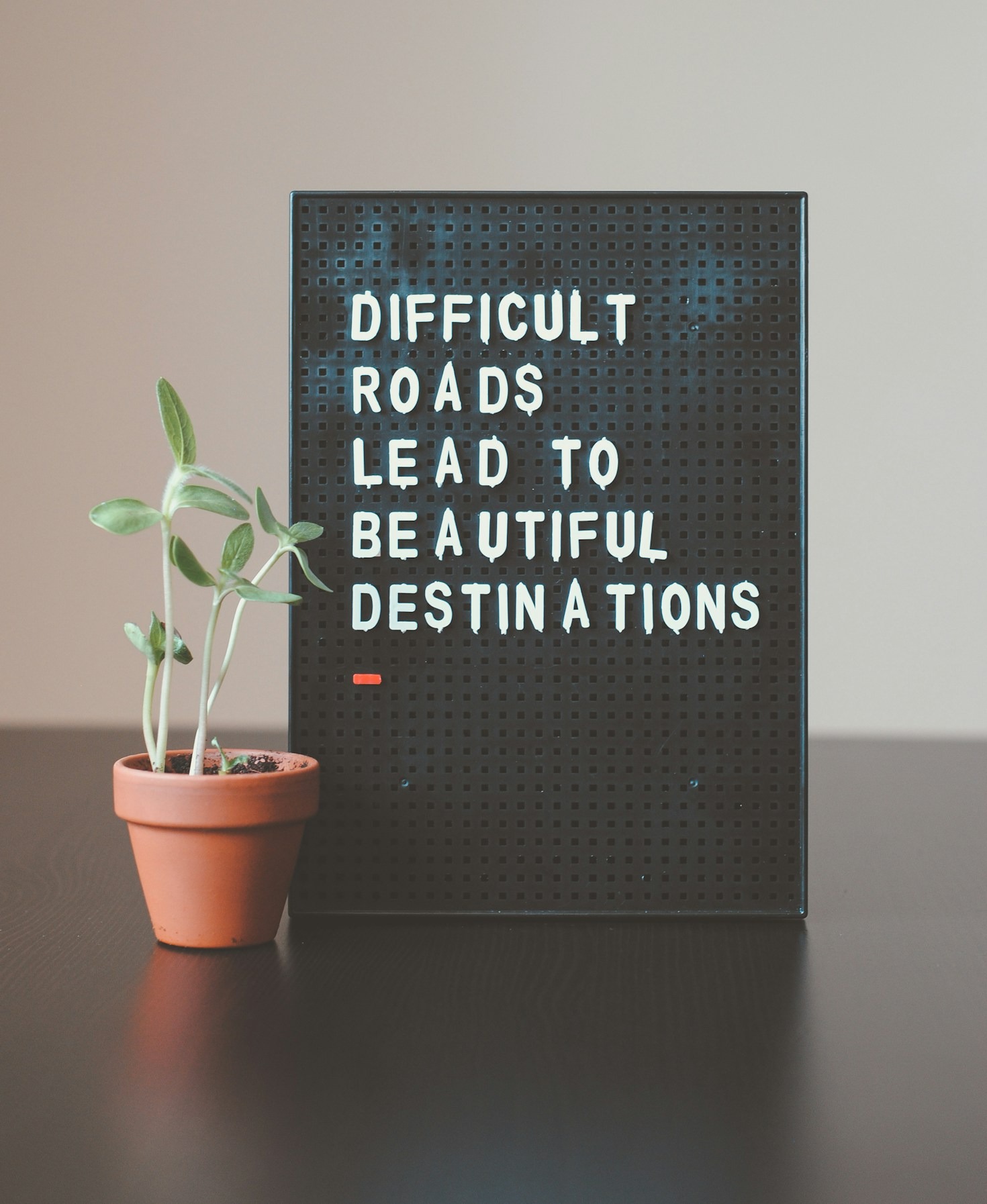 Finding Cultural Balance in a Fast Paced World